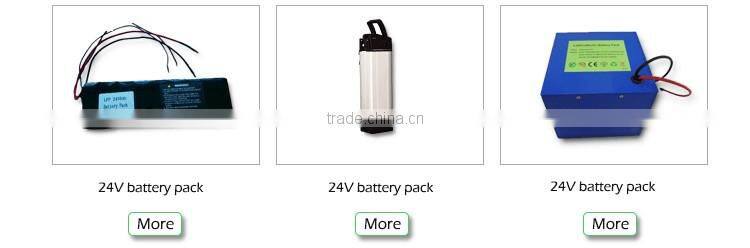 Small Lithium ion battery pack for ebike 36v 8.8ah dophine suit for 250w motor