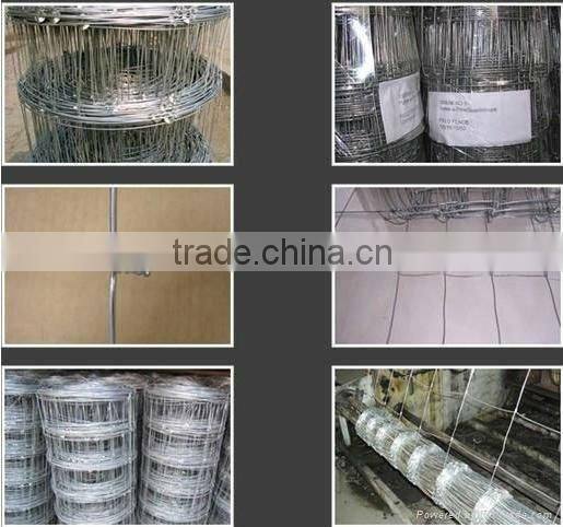 Animal/fence netting fence field (factory)