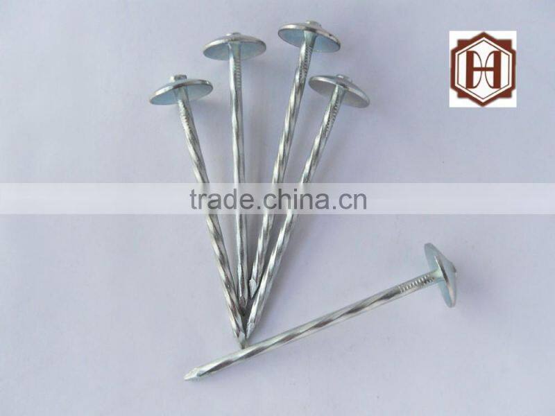 umberlla roofing nail from china supplier