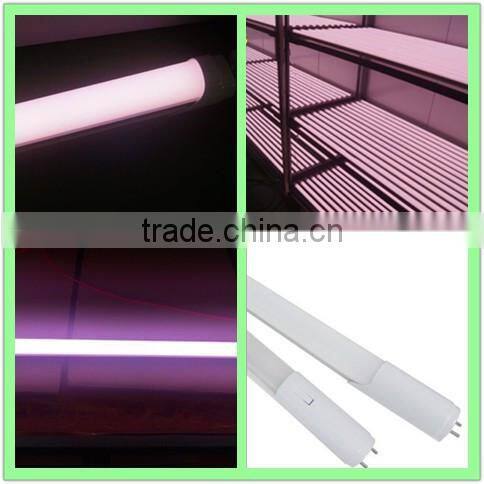 2016 hot sale LED pink light LED light source for fresh meat with 3 years warranty