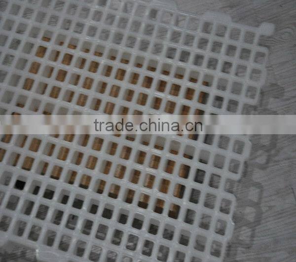 Popular poultry plastic slat floor for animal feeding