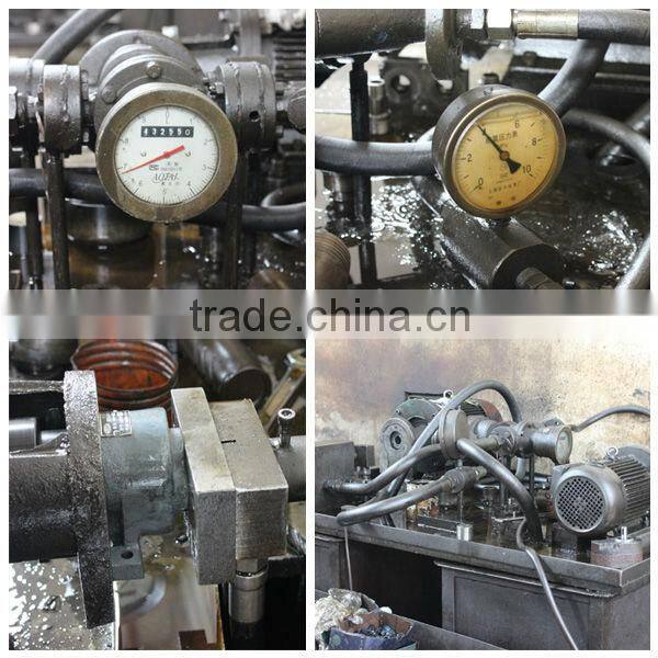 Iron Casting Electric Gear Oil Pump