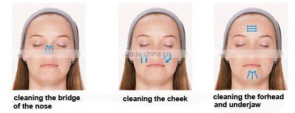 ultrasonic sonic skin cleaner
