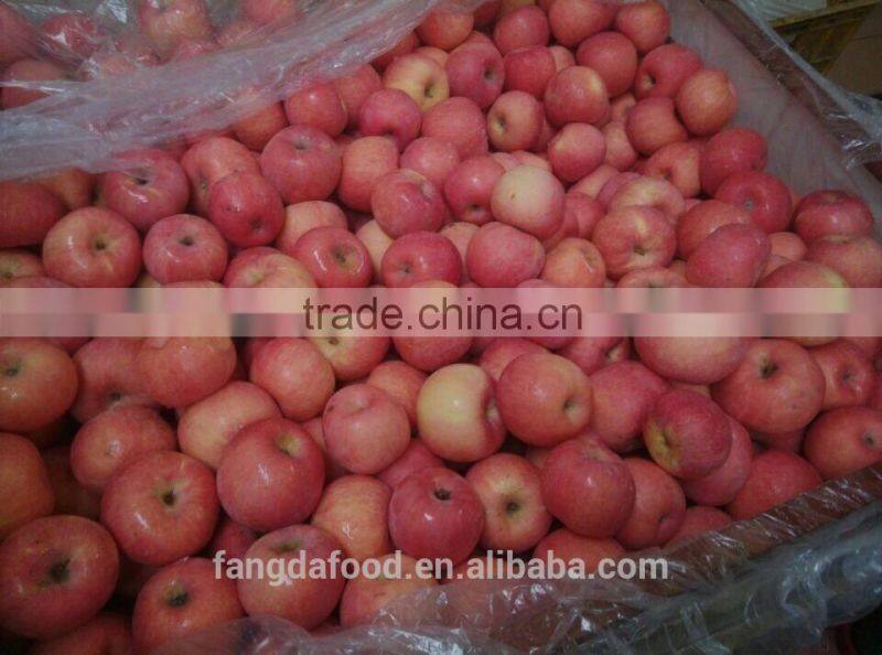 Cold storage fresh apple/low price