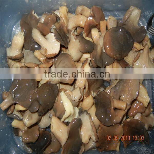 Chinese 1kg mix mushrooms kinds of oyster mushrooms mushroom for sale