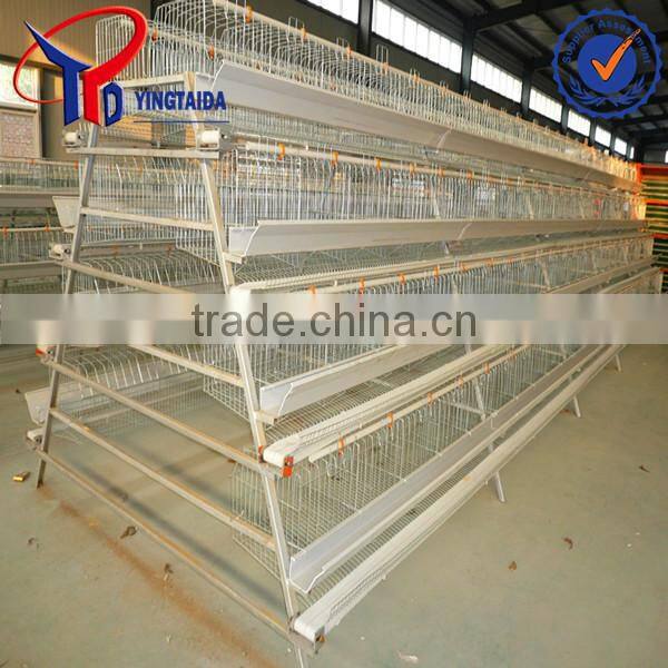 poultry dung removing machinery equipment /layer poultry cages for nigeria/africa