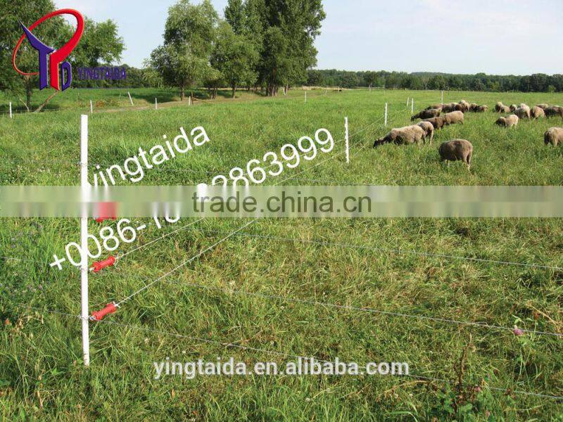 professional electric fence for sheep