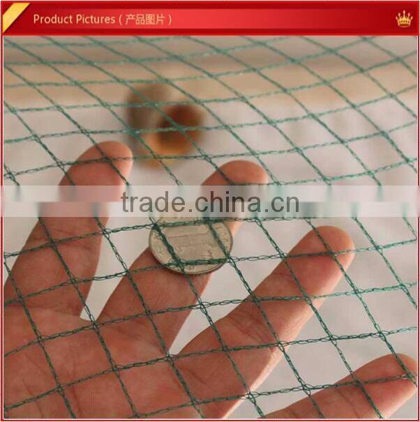 anti bird net knitting machine vineyard protecting net weaving loom