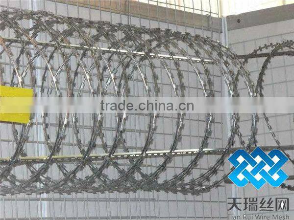 Razor barbed wire / Hot dip Galvanized razor barbed wire