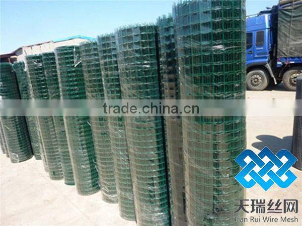 High quality holland wire mesh with low price