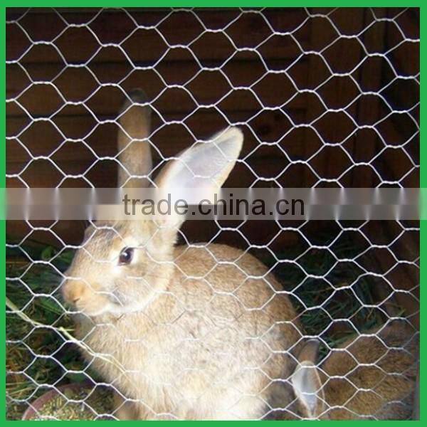 Hexagonal Gabion / Gabion Basket