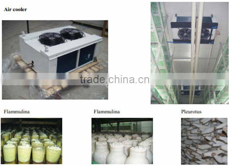 High stability heat transfer mushroom growth cooling machine