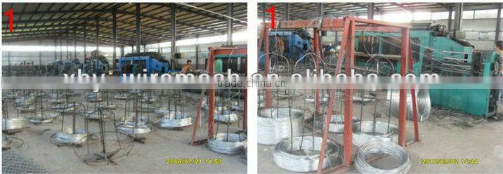 Hexagonal wire mesh/Hexagonal Animal cages