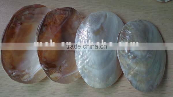Wholesale chinese polished raw river shell
