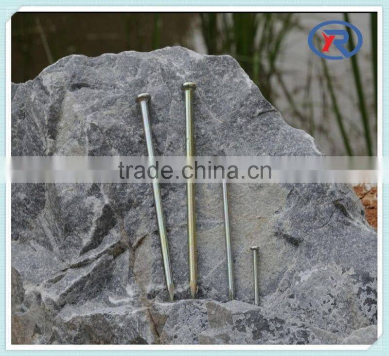 Hardened Steel Galvanized/Black Concrete Nails From china factory