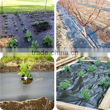 agricultural plant anti root fabric/black weed control weed mat/black weed barrier fabric matting