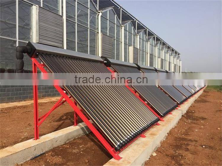 High tech greenhouse with heating solar system
