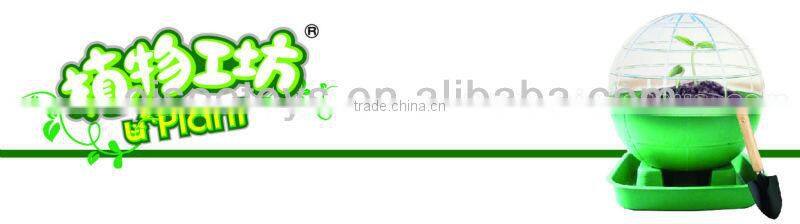 automatical water supplying indoor plants growing kits green globe