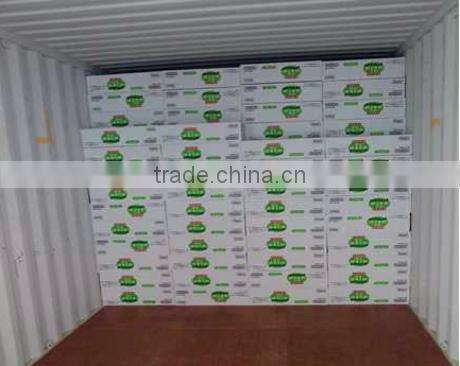 Native Rice Vermicelli in Boom Season