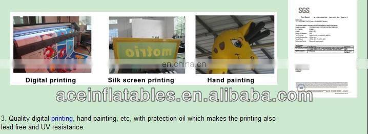 wet&dry shark inflatable combo