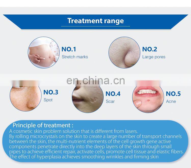 Professional miconeedle therapy system/fractional rf microneedle machine with CE ISO ROHS