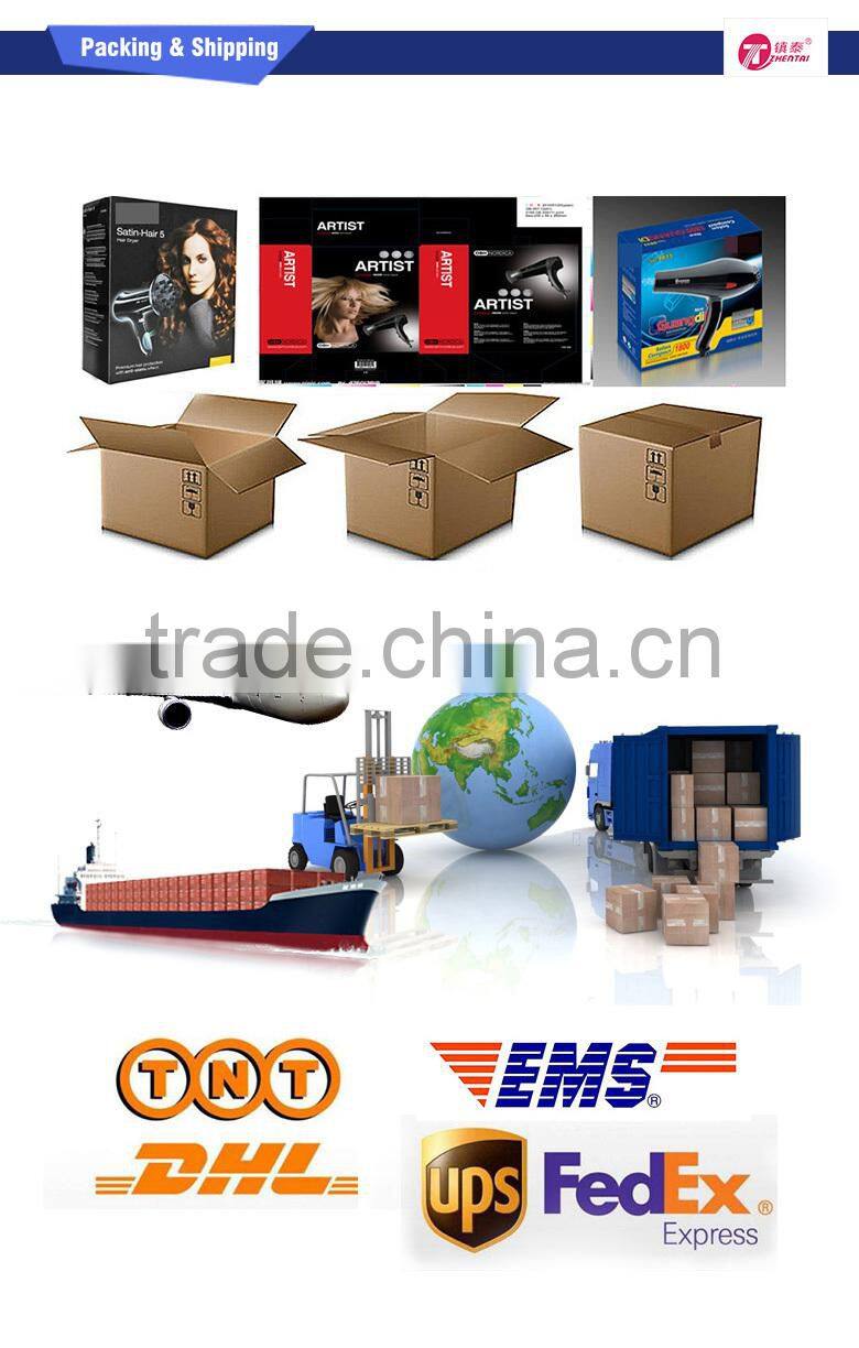 Foldable Hair Dryer Travel 220V Hair Dryer pass CB CE Test