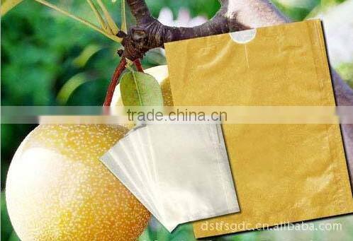 2 layers fruit protection pear bag for growing