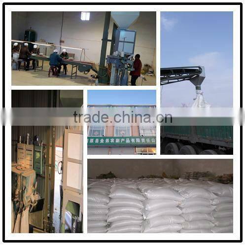 GREEN MILLET IN HUSK FOR BIRD FEEDS