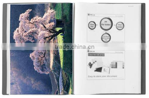 CLEAR FILE 236-40GSV - Filling File with 40 pockets