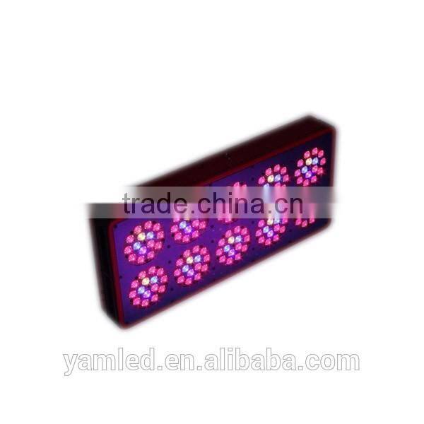Chinese aquarium for freshwater plants growing aquarium