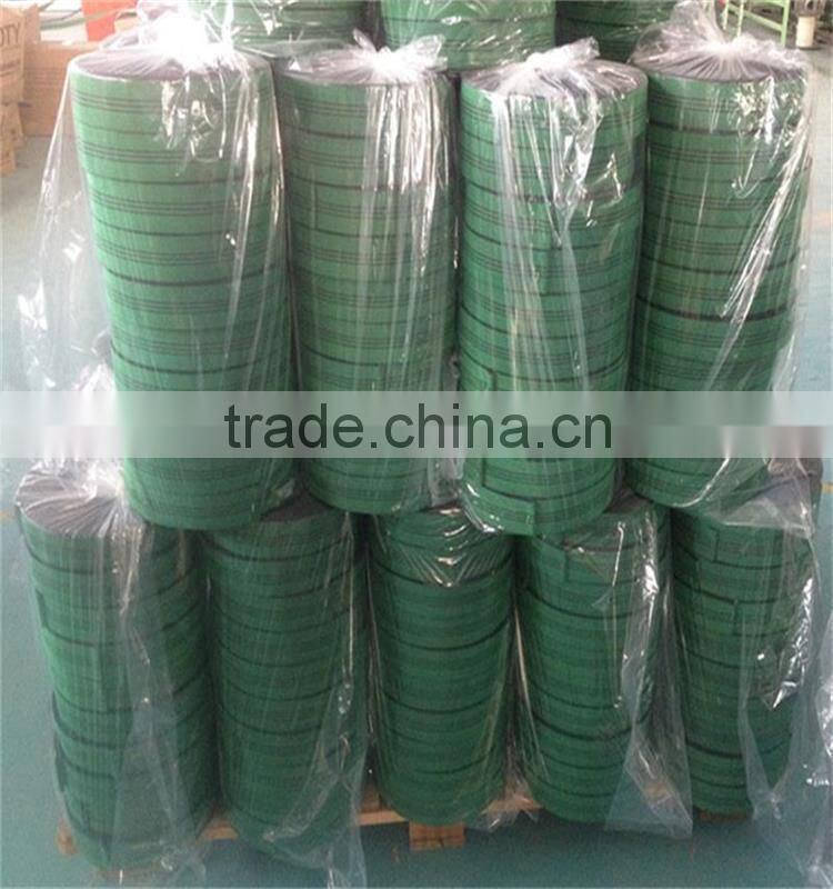 colorful Polypropylene customized sofa elastic webbing