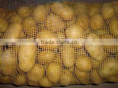 New crop potato export to dubai with high quality