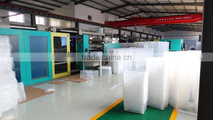 500 ml Fine Mist Plastic Spray Bottle