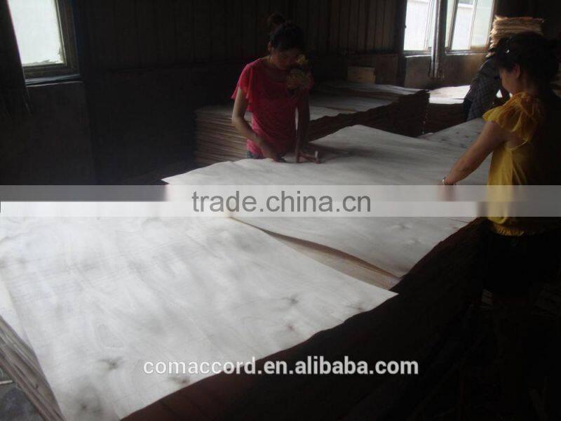Okoume veneer for plywood use