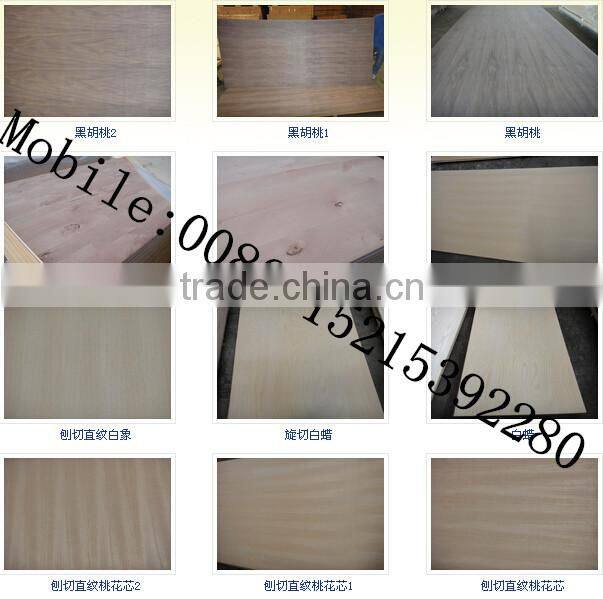 natural red oak veneer/black walnut /ASH veneer fancy plywood