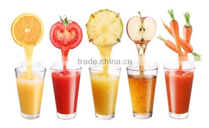 Ginger juice extractor