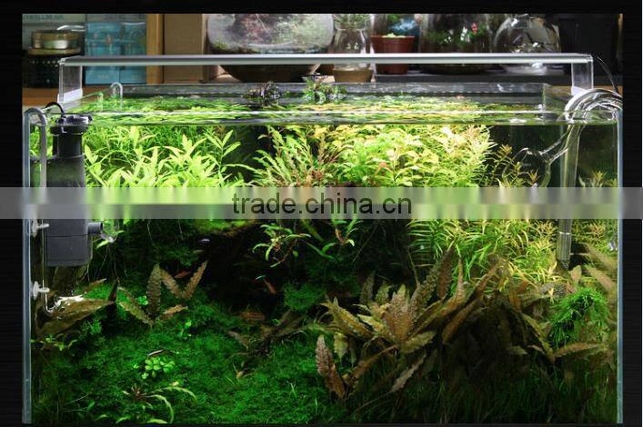 Distributors wanted Chihiros aquarium lighting led system 330-1251