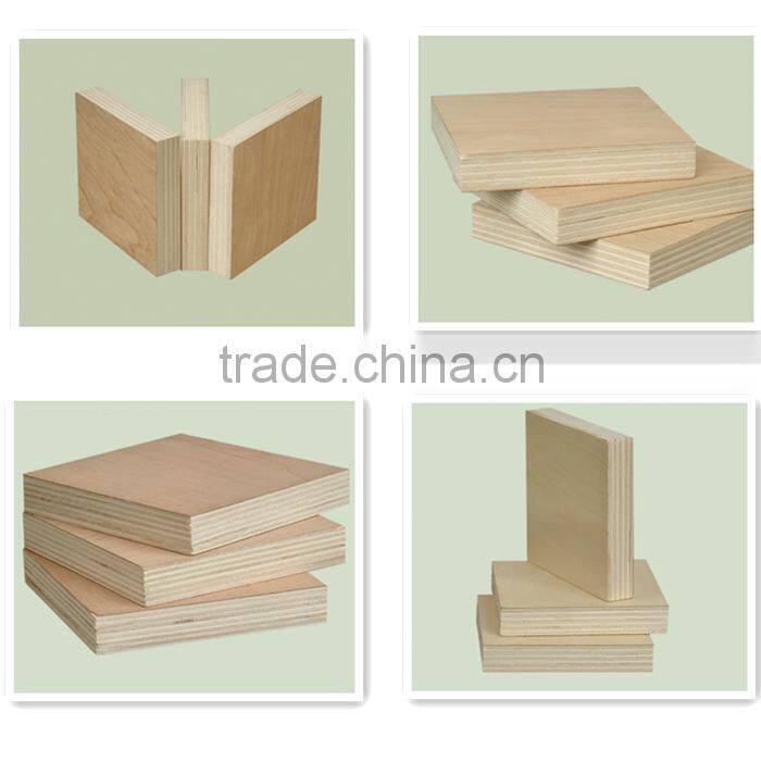 white birch plywood board best quality