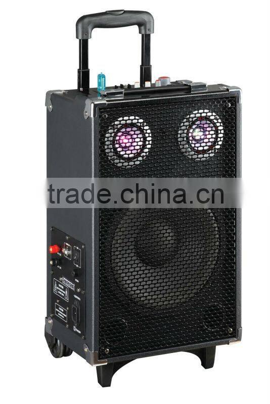 wireless speaker with USB/SD/MMC/WIRELESS MIC SA-618