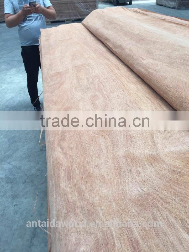 natural gurjan veneer