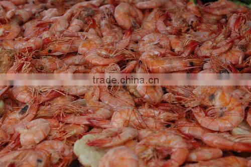 DRIED SHRIMP SHELL BIG QUANTITY
