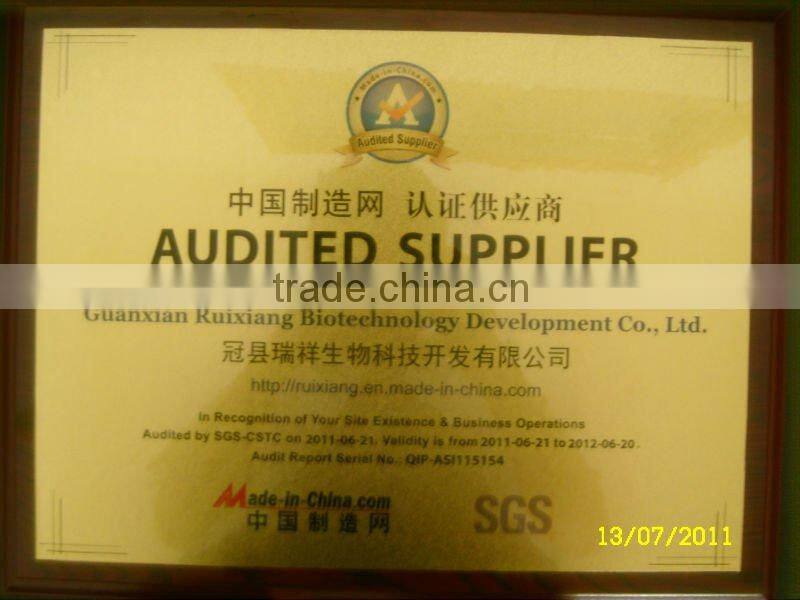 most popular organic vital wheat gluten