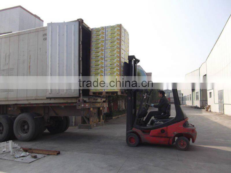 2015 New Fresh Red Flesh Pomelo