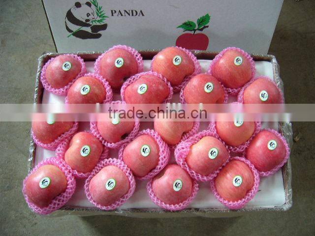 Yantai Fresh Sugar Apple for Sale