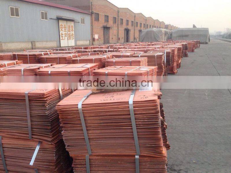 Factory and Manufacture Copper cathode 99.99% (A31)