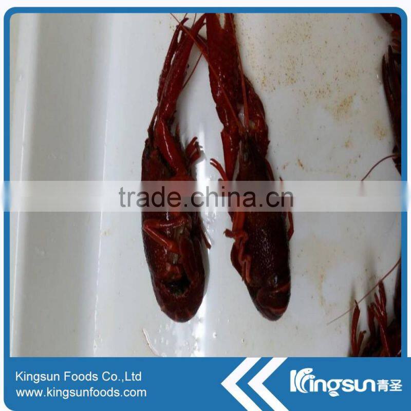 Best supplier Frozen water cooked crayfish / crawfish