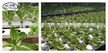 expanded perlite for seedlings, grow composts, soil conditioner