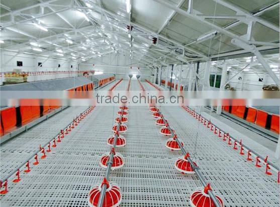 automatic chicken farming feeding equipment| system