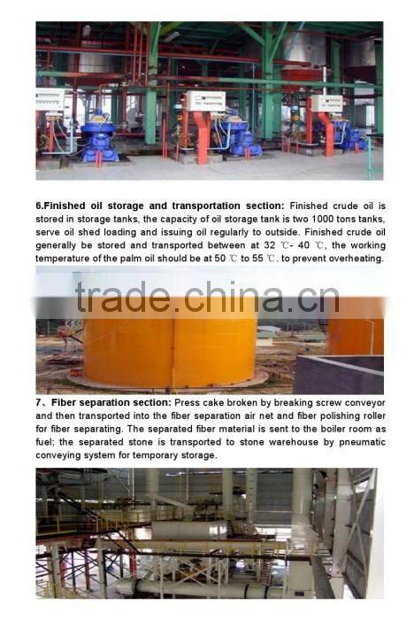 palm oil extraction equipment