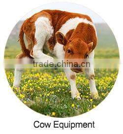 Pig automatic water level controller